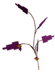 Twisted Tangle